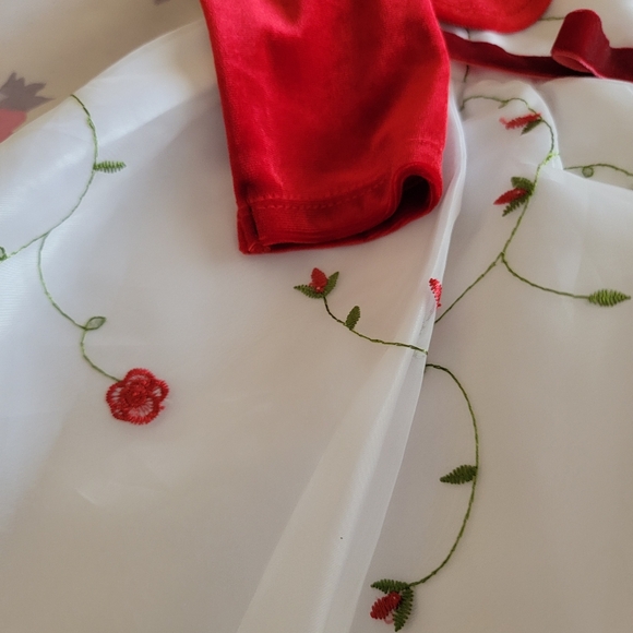 Infant Formal Dress - Picture 7 of 16